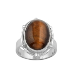 Tiger EYE